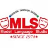 Model Language Studio